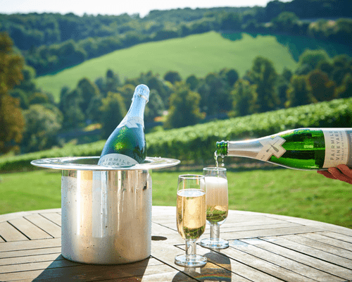 sprkling win in a wine cooloer of a wooden table in front of a lush green view over Fairmile Vineyard